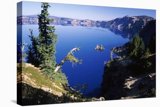 Red Elderberry (Sambucus Racemosa) with Phantom Ship Island in Crater Lake-null-Stretched Canvas