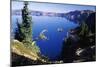 Red Elderberry (Sambucus Racemosa) with Phantom Ship Island in Crater Lake-null-Mounted Photographic Print