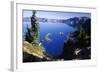 Red Elderberry (Sambucus Racemosa) with Phantom Ship Island in Crater Lake-null-Framed Photographic Print