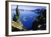 Red Elderberry (Sambucus Racemosa) with Phantom Ship Island in Crater Lake-null-Framed Photographic Print