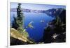 Red Elderberry (Sambucus Racemosa) with Phantom Ship Island in Crater Lake-null-Framed Photographic Print