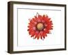 RED Element-Irena Orlov-Framed Art Print