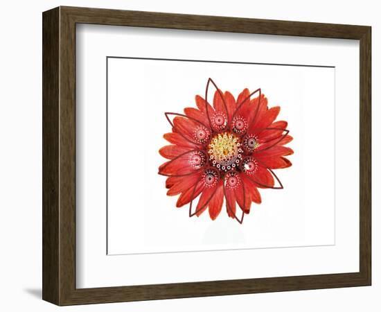 RED Element-Irena Orlov-Framed Art Print