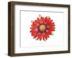 RED Element-Irena Orlov-Framed Art Print