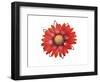 RED Element-Irena Orlov-Framed Art Print