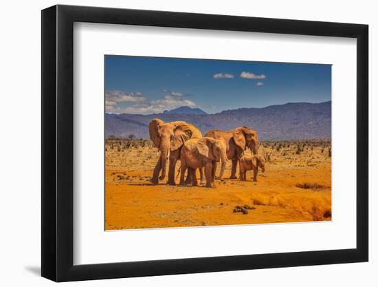 Red Elephant family, Tsavo West National Park, Africa-John Wilson-Framed Photographic Print