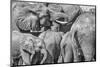 Red Elephant family, Tsavo West National Park, Africa-John Wilson-Mounted Photographic Print