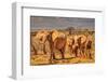 Red Elephant family, Tsavo West National Park, Africa-John Wilson-Framed Photographic Print