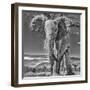 Red Elephant scratching, Tsavo West National Park, Africa-John Wilson-Framed Photographic Print