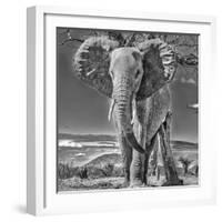 Red Elephant scratching, Tsavo West National Park, Africa-John Wilson-Framed Photographic Print