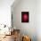 Red Emotion-Philippe Sainte-Laudy-Framed Stretched Canvas displayed on a wall
