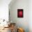 Red Emotion-Philippe Sainte-Laudy-Photographic Print displayed on a wall