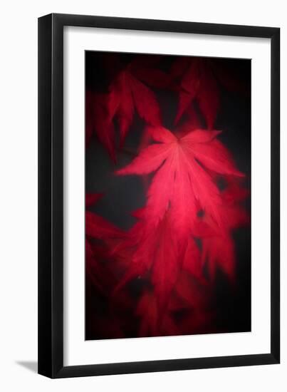 Red Emotion-Philippe Sainte-Laudy-Framed Photographic Print