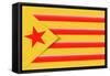 Red Estelada Flag-Juan Carlos B.-Framed Stretched Canvas