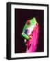 Red Eye Tree Frog on a Bromeliad, Native to Central America-David Northcott-Framed Photographic Print