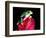 Red Eye Tree Frog on Bromeliad, Native to Central America-David Northcott-Framed Photographic Print