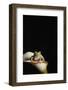 Red eyed tree frog (Agalychnis Callidryas), captive, United Kingdom, Europe-Janette Hill-Framed Photographic Print