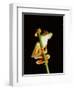 Red Eyed Tree Frog (Agalythnis Callidryas), South America-Philip Craven-Framed Photographic Print