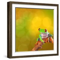 Red Eyed Tree Frog From Costa Rica Rain Forest-kikkerdirk-Framed Photographic Print
