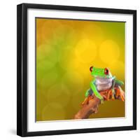 Red Eyed Tree Frog From Costa Rica Rain Forest-kikkerdirk-Framed Photographic Print