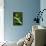 Red-Eyed Tree Frog on Leaf-null-Framed Stretched Canvas displayed on a wall