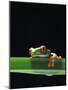 Red-Eyed Tree Frog-Chase Swift-Mounted Photographic Print