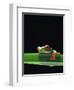 Red-Eyed Tree Frog-Chase Swift-Framed Photographic Print