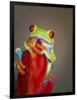 Red-eyed tree frog-Maresa Pryor-Framed Photographic Print