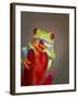 Red-eyed tree frog-Maresa Pryor-Framed Premium Photographic Print