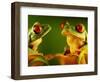 Red-Eyed Tree Frogs-David Aubrey-Framed Photographic Print