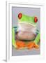 Red-eyed Treefrog (Agalychnis callidryas) adult-Emanuele Biggi-Framed Premium Photographic Print