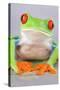 Red-eyed Treefrog (Agalychnis callidryas) adult-Emanuele Biggi-Stretched Canvas