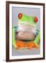 Red-eyed Treefrog (Agalychnis callidryas) adult-Emanuele Biggi-Framed Photographic Print