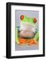 Red-eyed Treefrog (Agalychnis callidryas) adult-Emanuele Biggi-Framed Photographic Print