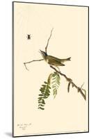Red-Eyed Vireo-null-Mounted Poster