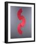 Red Fans, 2005-Lincoln Seligman-Framed Giclee Print