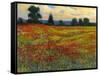 Red Field I-Tim O'toole-Framed Stretched Canvas