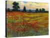 Red Field I-Tim O'toole-Stretched Canvas