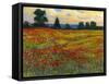 Red Field I-Tim O'toole-Framed Stretched Canvas