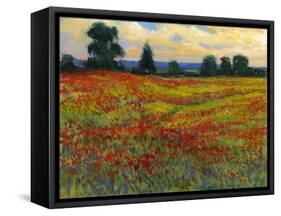 Red Field I-Tim O'toole-Framed Stretched Canvas