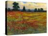 Red Field I-Tim O'toole-Stretched Canvas