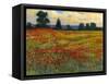 Red Field I-Tim O'toole-Framed Stretched Canvas