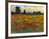 Red Field I-Tim O'toole-Framed Art Print