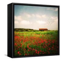 Red Field-Philippe Sainte-Laudy-Framed Stretched Canvas
