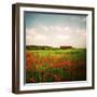 Red Field-Philippe Sainte-Laudy-Framed Premium Photographic Print