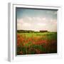 Red Field-Philippe Sainte-Laudy-Framed Premium Photographic Print
