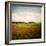 Red Field-Philippe Sainte-Laudy-Framed Photographic Print