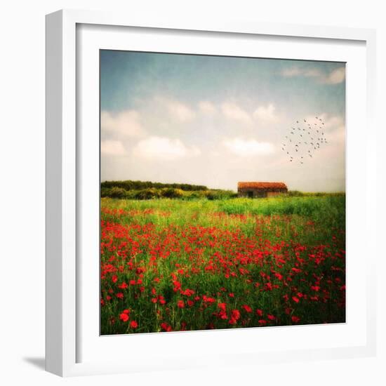 Red Field-Philippe Sainte-Laudy-Framed Photographic Print