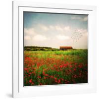 Red Field-Philippe Sainte-Laudy-Framed Photographic Print