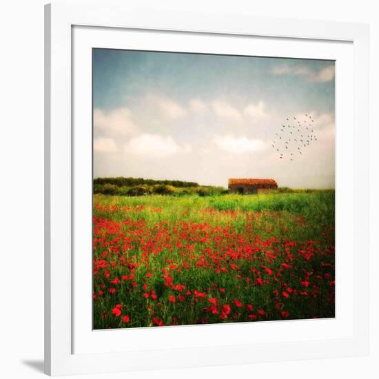 Red Field-Philippe Sainte-Laudy-Framed Photographic Print